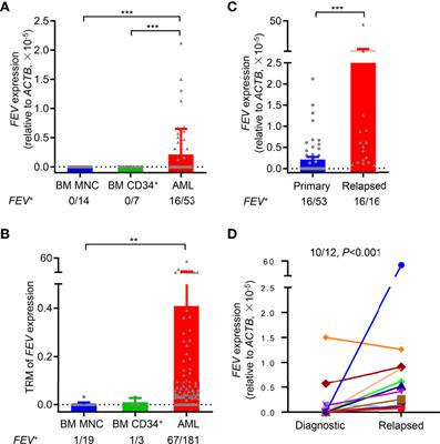 FEV Maintains Homing and Expansion by Activating ITGA4 Transcription in Primary and Relapsed AML